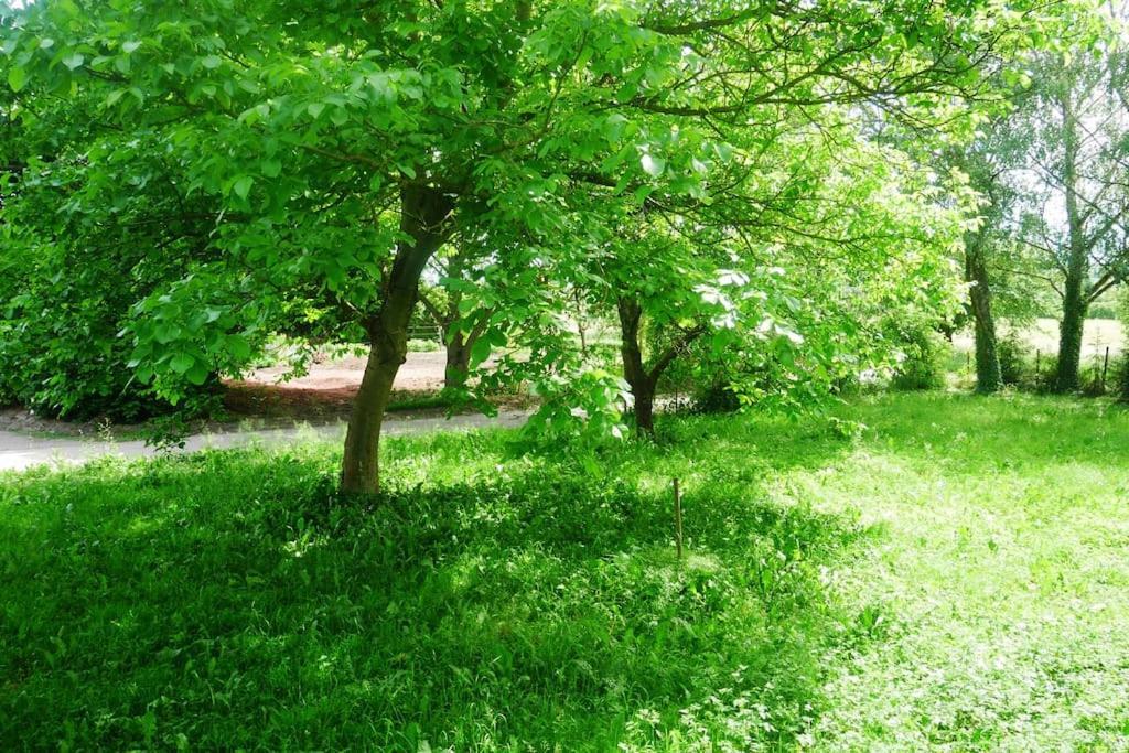 Ferienwohnung Im Gruenen Gottenheim Luaran gambar