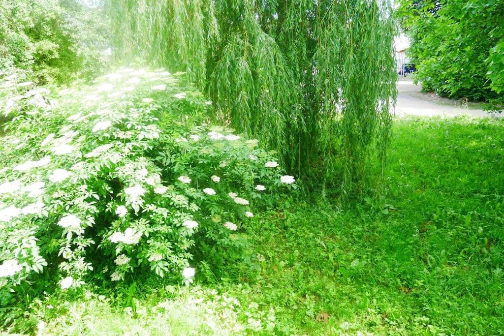 Ferienwohnung Im Gruenen Gottenheim Luaran gambar