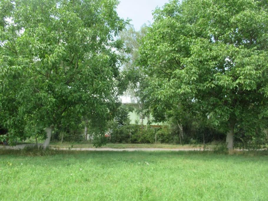 Ferienwohnung Im Gruenen Gottenheim Luaran gambar